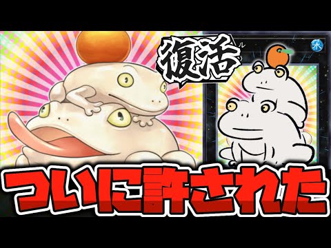 【遊戯王】 ついに復活！今見ても強すぎるだろこのカード！ 『餅カエル』 【ゆっくり解説】 サムネイル