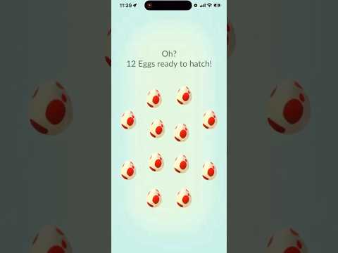 ✨I Hatched 12x 12K Eggs In Pokemon Go And…✨ shorts pokemon サムネイル