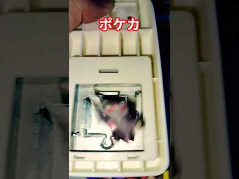 ポケカ ポケカ ポケカ ポケカ再販最新情報 ポケモンカード チャンネル登録お願いします ポケモン おれポケ pokem… サムネイル