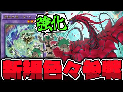 【遊戯王】 霊使い・/バスター・捕食植物新規登場！ 『ブラック・ローズ・ドラゴン/バスター』 【ゆっくり解説】 サムネイル