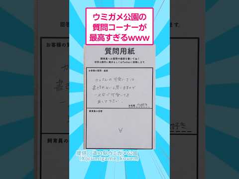 ウミガメ公園の質問コーナーが最高すぎるwww おもしろ 動物 サムネイル
