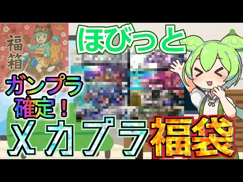 【プラモ福袋】ガンプラが絶対入ってる？！ロボット系オンリーのメカプラ福袋を購入してみた！【2026福袋第13弾】 サムネイル