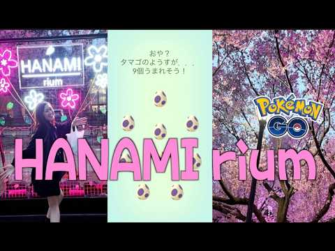 タマゴ割しながら夜桜ライトアップを見に行ったら最高だった!!【ポケモンGO】 サムネイル