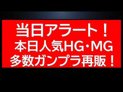 当日アラート！本日人気HG・MG多数再販！ サムネイル