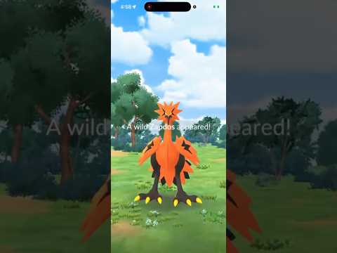 I Found a GALARIAN BIRD In Pokemon Go On Stream And… shorts… サムネイル