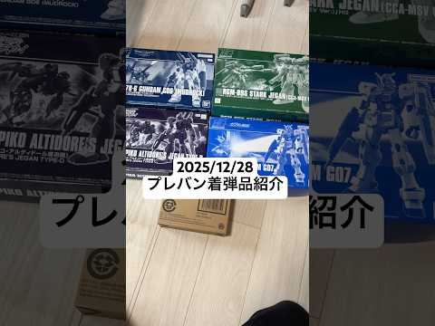 2025/12/28 プレバン着弾品紹介！HGスタークジェガンCCA-MSVにガンダム7号機にガンダム6号機マドロック…