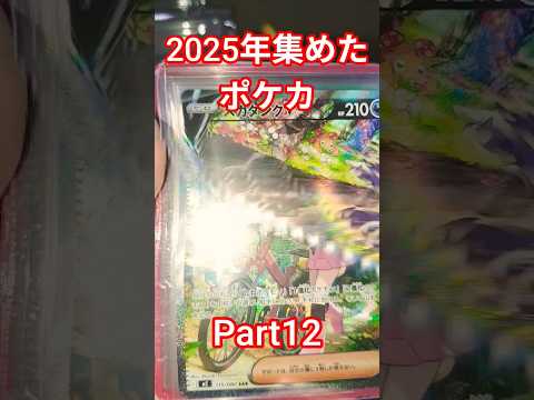 2025年集めたポケカ ポケカ ポケカ再販最新情報 ポケモンカード おれポケ ポケモン チャンネル登録お願いします…