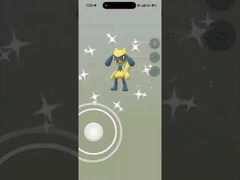 ✨BACK TO BACK SHINY RIOLU IN POKEMON Go!✨ shorts pokemon サムネイル