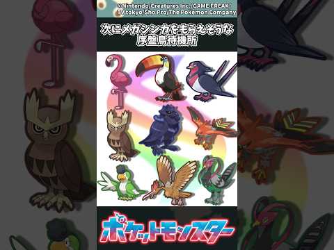 【ポケモンZA】次にメガシンカをもらえそうな序盤鳥待機所 #ポケモン #反応集 #ポケモンZA