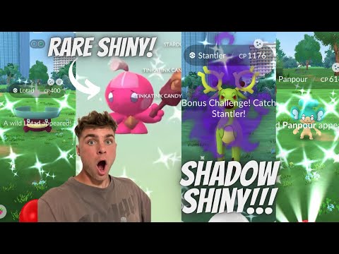 ✨Shiny Tinkatink HATCHED, Shiny Shadow Stantler and More In… サムネイル