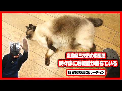 出張準備しながら営業する広島県三次市で営業している田舎の模型屋ルーティン【102】 サムネイル