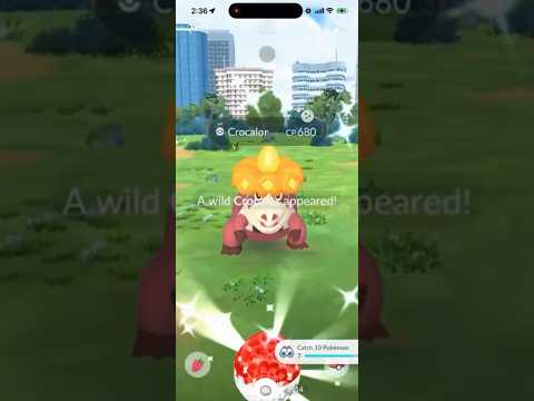✨WOW! WILD SHINY CROCALOR CAUGHT in Pokemon Go!✨ shorts pok… サムネイル