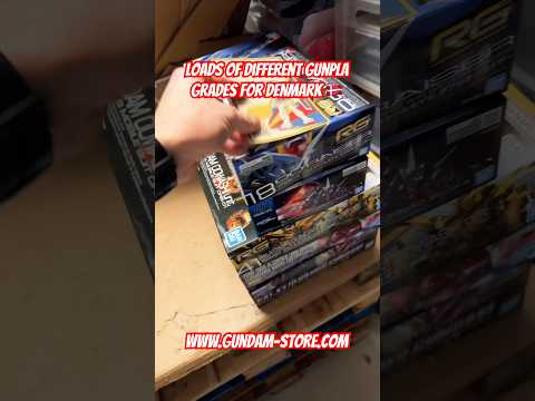 Loads of different Gunpla grades for Denmark 🇩🇰 gundam gunp…