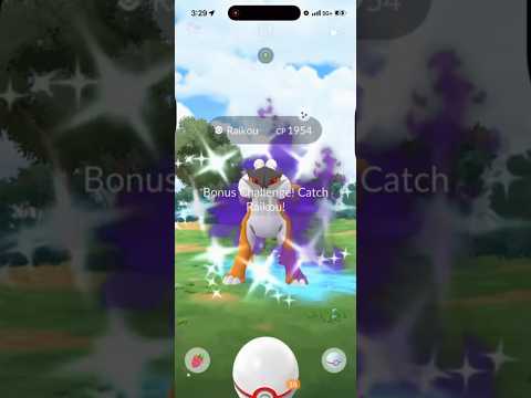 ✨I ALMOST GOT A SHUNDO Raikou in Pokemon Go!!!✨ shorts poke…