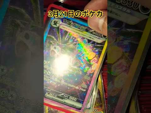 3月21日のポケカ ポケモンカード チャンネル登録お願いします ポケカ ポケカ再販最新情報 ポケモン pokemonp… サムネイル