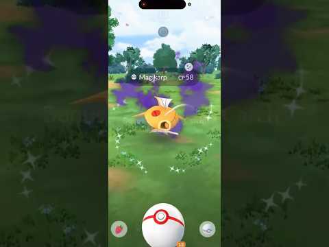 ✨SHADOW SHINY MAGIKARP!!! NEW Shiny Shadow Magikarp CAUGHT… サムネイル