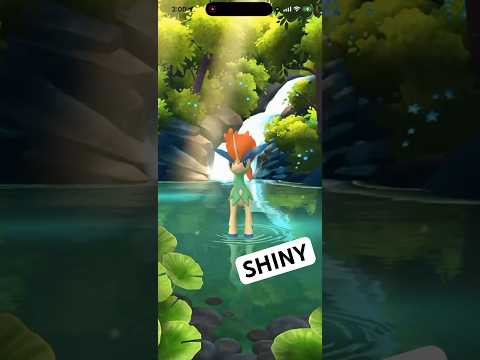 ✨NEW Shiny Keldeo CAUGHT In Pokemon Go!✨ shorts pokemon