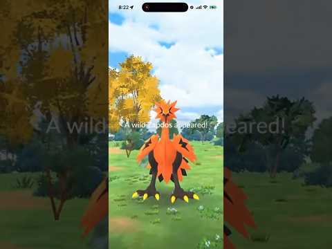 Galarian Zapdos Encounter In Pokemon Go But… shorts pokemon サムネイル