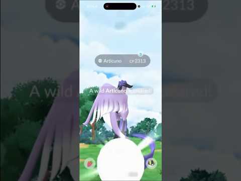 Galarian Articuno Encounter In Pokemon Go! shorts pokemon サムネイル