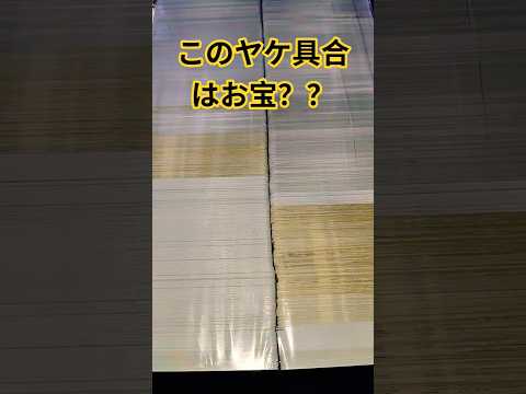 ポケカお宝発見か？？ ポケモンカード チャンネル登録お願いします ポケカ ポケモンカード チャンネル登録お願いします… サムネイル