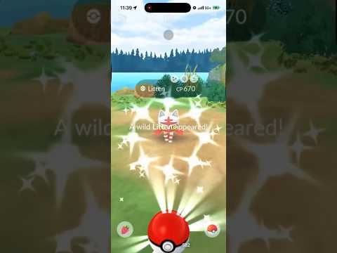 ✨OMG! When The CHAT Sends SHINY LUCK And It ARRIVES IMMEDIA… サムネイル