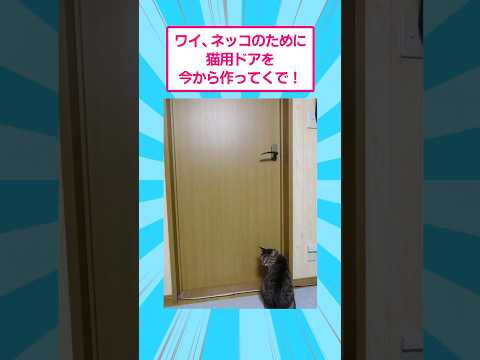 ワイ、猫のために猫用ドアを今から使ってくで！　おもしろ 爆笑 サムネイル