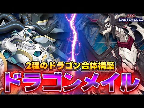 【ドラゴンメイド×ドラゴンテイル】後攻0ターン目からシュトラール爆誕!!『ドラゴンメイル』【遊戯王マスターデュエル】【… サムネイル
