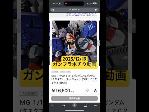 2025/12/19 ガンプラポチり動画！MGEx-Sガンダム/Sガンダム（タスクフォースVer.）とMGサイコザクは…