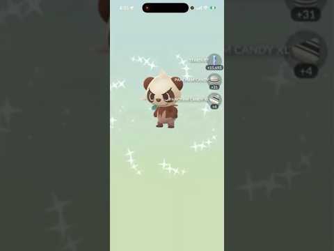 ✨I Hatched THIS SHINY Pokemon In Pokemon Go!✨ shorts pokemon サムネイル