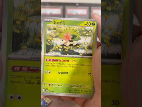 pokemon ポケモンカード　パック開封　メガドリームex 　　pokemon ポケモンカード25周年 ポケカ ポケ… サムネイル