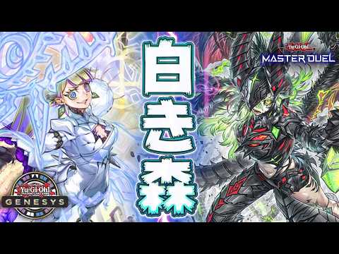 【海外発の新しい遊び方】デッキ構築ポイント制"遊戯王ジェネシス"でも最強格!!『ジェネシス白き森』【遊戯王マスターデュ…