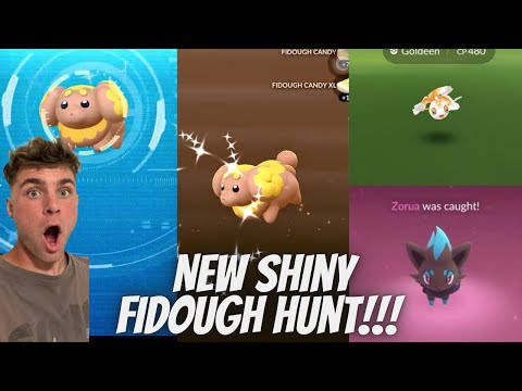✨NEW Shiny Fidough and Shiny Zorua Hunt LIVE In Pokemon Go!✨ サムネイル