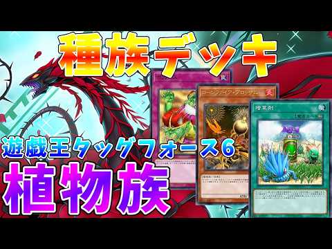 【遊戯王タッグフォース6】強力な植物族サポート《増草剤》で戦う　植物族デッキ解説【ゆっくりクロト】 サムネイル