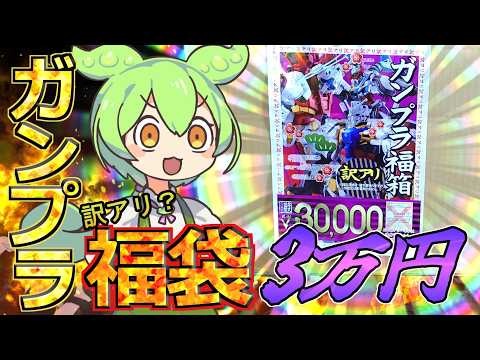 【ガンプラ福袋】超高額の訳ありガンプラ福袋を零式書店で購入したら、衝撃のガンプラが入っていた！【2026福袋第12弾】 サムネイル
