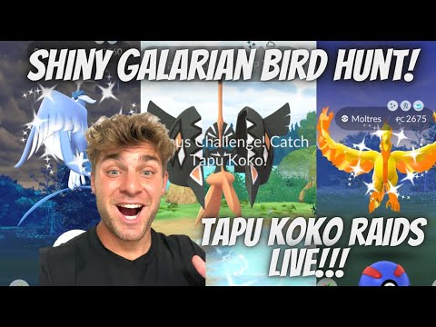 ✨Shadow Latios and Tapu Koko Raids & Shiny Galarian Bird Hu… サムネイル