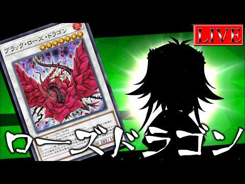 【ダイヤ５～】みなさ～ん！！！！！５月になりましたよ～～～～～！！！！！【黒薔薇ンクマ＃１ 遊戯王マスターデュエル】 サムネイル