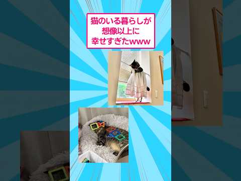 猫のいる暮らしが想像以上に幸せすぎたwww 猫 ねこ サムネイル