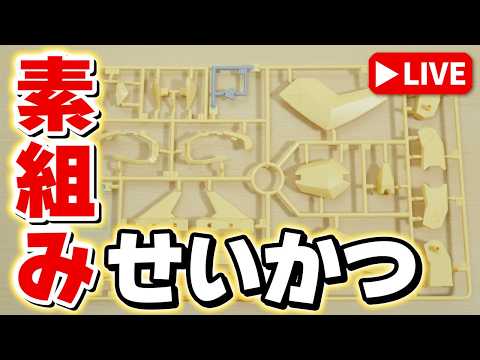 【素組みライブ】大丈夫、バレないバレない…。今夜も謎のプラモを作りますｗ【素組みせいかつ】 サムネイル