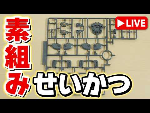 【素組みライブ】バリエ多いからムズイかも？と言うかこの画像だけで特定できるのだろうか？ サムネイル