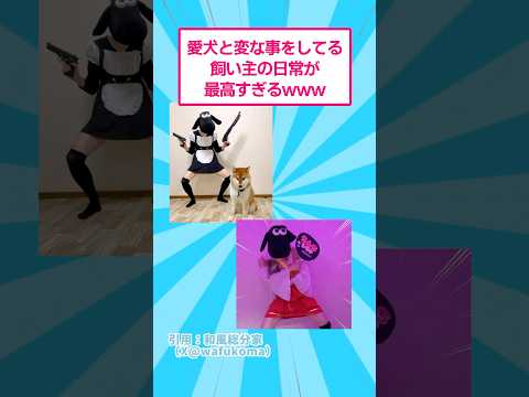 愛犬と変なことをしてる飼い主の日常が最高すぎるwww おもしろ 和風総分家 サムネイル