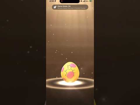 ✨I Hatched THIS SHINY Pokmeon in Pokemon Go!✨ shorts pokemon サムネイル