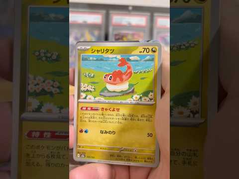pokemon ポケモンカード　パック開封　メガドリームex　　pokemon ポケモンカード25周年 ポケカ ポケモ… サムネイル