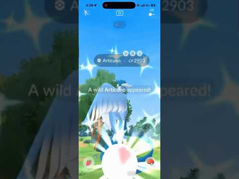 ✨SHINY GALARIAN ARTICUNO CAUGHT IN POKEMON GO!!!✨ shorts po… サムネイル