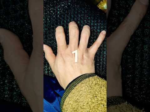 cosplaycosplayer comedy happyhalloween サムネイル