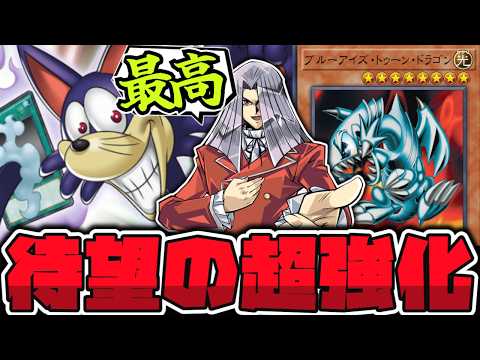 【遊戯王】 トゥーンが無敵の生命体へ完全再現！新規強すぎだろ… 『完全なる世界 トゥーン・ワールド』 【ゆっくり解説】 サムネイル