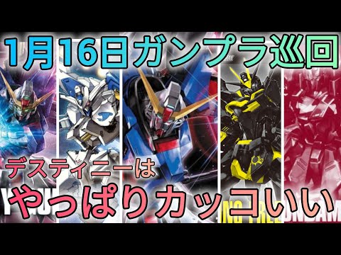 デスティニー推しは歓喜せよ!!　ガンプラ巡回　デスティニーガンダム　seed