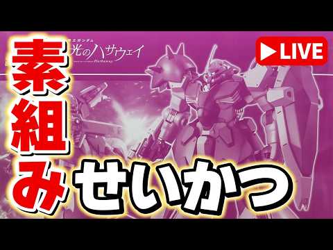 【素組みライブ】足だけでガンダムさんと同じサイズ！汚名挽回しそうなカラーリングの「HGUC メッサーF02型（指揮官機… サムネイル