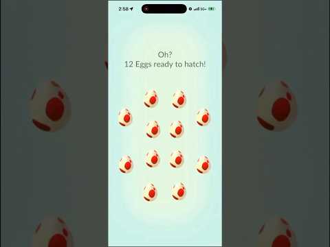 I Hatched 12x 12k Eggs In Pokemon Go and THIS Is What I Got…