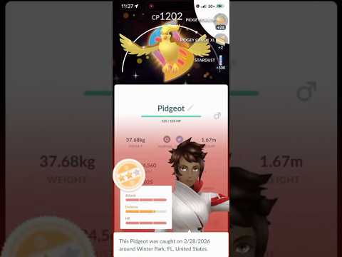 ✨Shiny BACKGROUND Pidgeot CAUGHT In Pokemon Go!✨ shorts pok… サムネイル