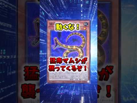 【遊戯王】遊戯王のコンボ「猛毒マムシロック」 shorts 遊戯王 サムネイル